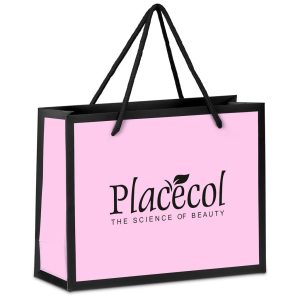 Altitude Regis Premium Mini Paper Gift Bag